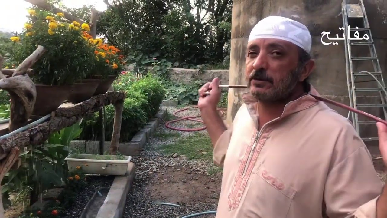 مزرعة للنحل رجال المع لاحق ال هادي