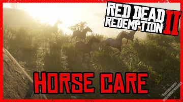 Horse Care and Maintenance - Red Dead Redemption 2 - Horse Guide (PS4)