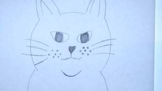 Cat - Hand Drawn Animation
