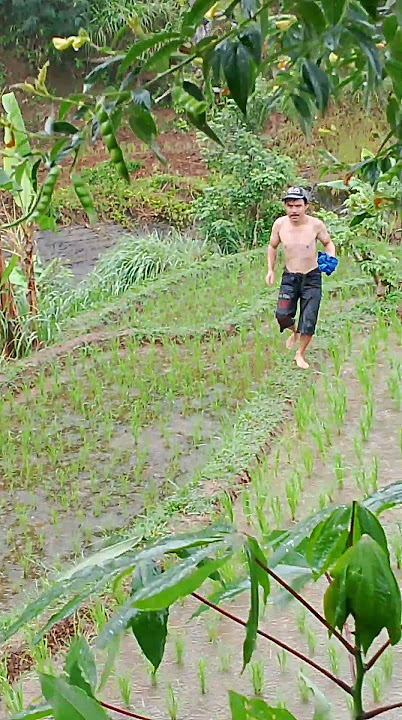 gerimis mengandung🤭