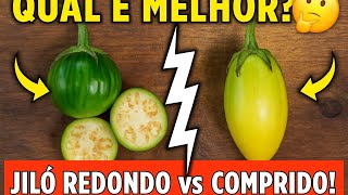 Difference between Rounded Okra and Pera Okra: Which is Better? screenshot 1