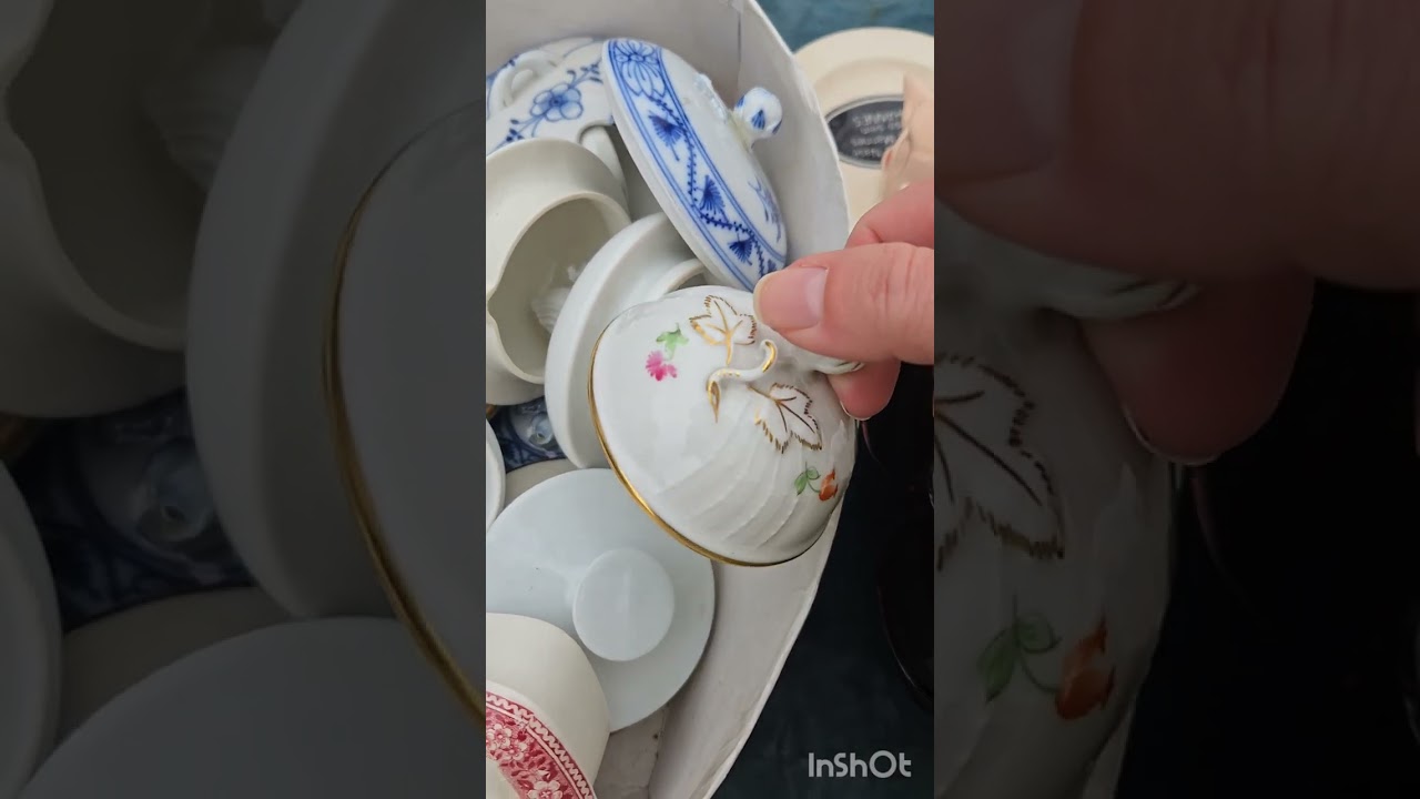 🤩 Дареному коню в зубы не смотрят!!!❤️🥰