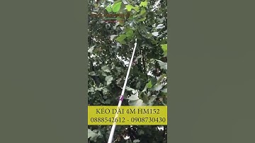 Kéo cắt cành trên cao 4m HM152 đa năng hái quả tỉa cành bán tại dungcunongnghiep.vn