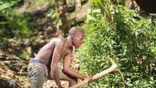 4e édition du festival HAITI COULEUR HAITI CHALEUR 2015