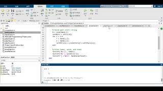 MATLAB Programming Project