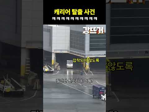 ㄹㅇ 짐 캐리 thumbnail