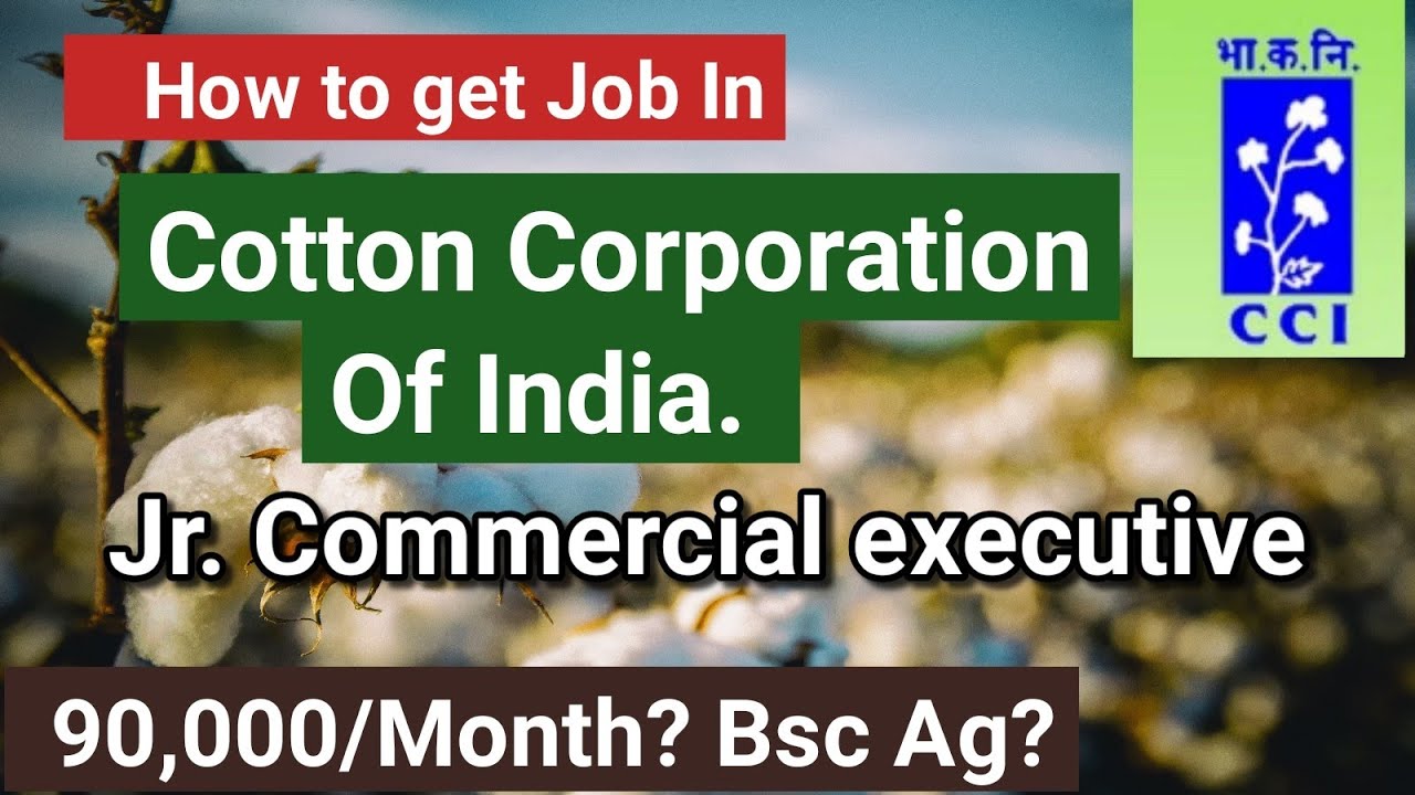 Cotton Corporation Of India Job Bsc Agriculture Jobs Agristudy