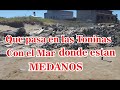 las toninas la marea cada vez más cerca de las casas