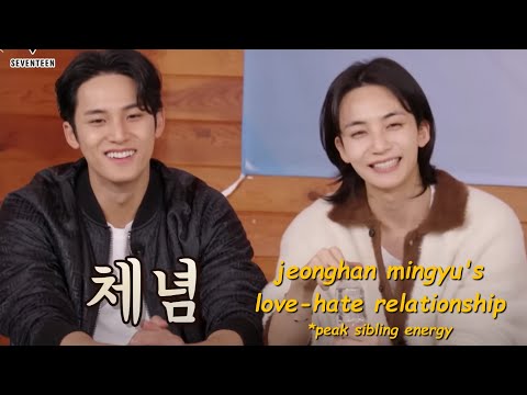 jeonghan & mingyu ✨ bickering ✨ like their life depends on it