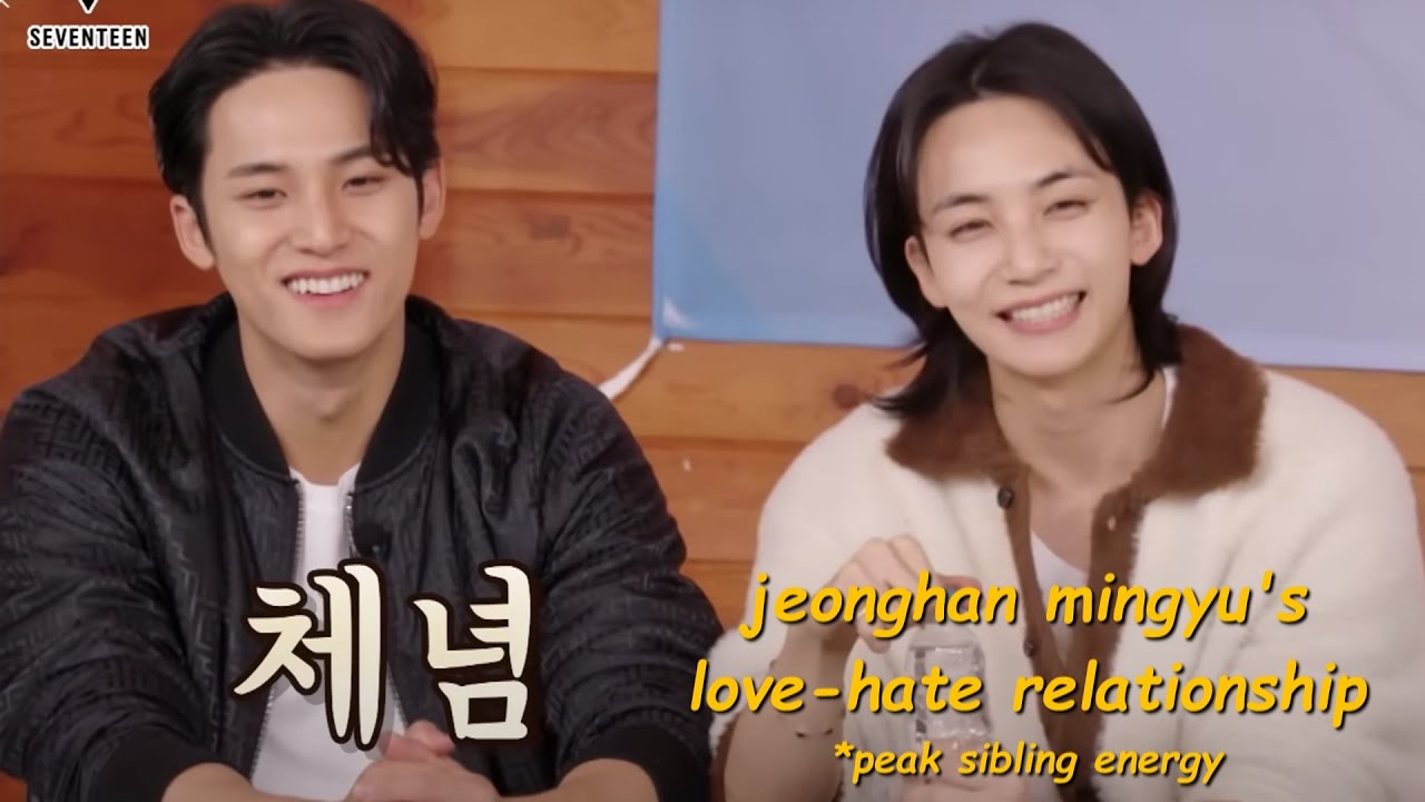 jeonghan & mingyu ✨ bickering ✨ like their life depends on it