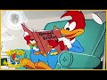 Hot Rod Huckster | Woody Woodpecker | Old Cartoon | Woody Woodpecker Full Episodes | Videos for Kids
