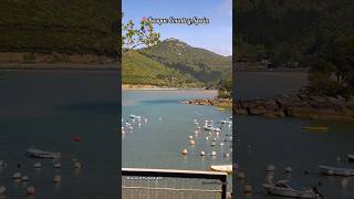 #song #music #highlights #love #lifeisbutadream #basquecountry #spain