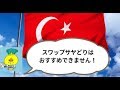 トルコリラFX異業者両建てスワップサヤどりがおすすめできない理由を語ります。