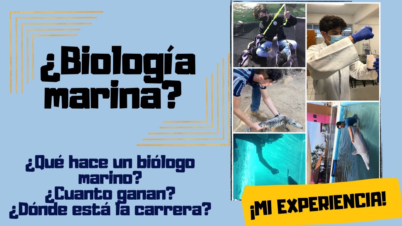 ¿Quieres ser biólogo marino?