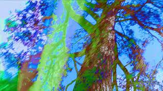 Silent.partner_ether.sys (delayed ) soundscapes ethereal vibes and visuals