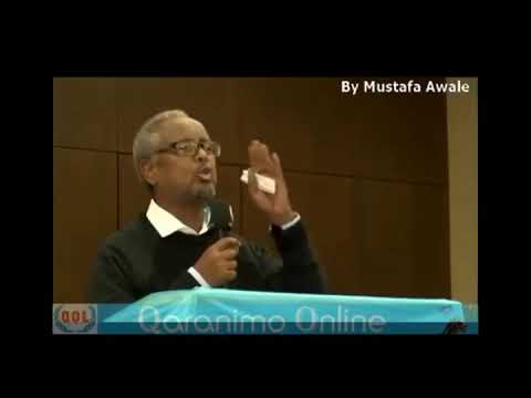 Gabay Ileen Doqoni Calaf Male 