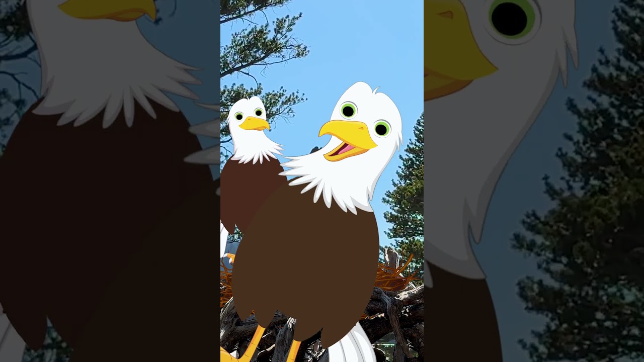 Where dreams come true 