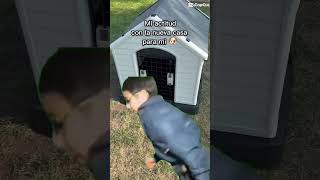 'Dale a tu Perro el Refugio que Merece con #MascoAmigo #casadeperros #perros #paramascotas