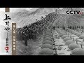 《上甘岭-最长的43天》第七集 异国英雄塚 | CCTV纪录