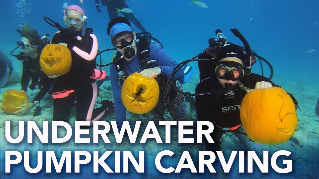 Scuba divers compete in underwater pumpkin carving contest YouTube