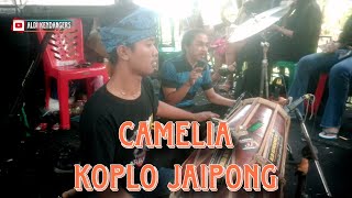 Camelia _ Koplo Kendang Jaipong !!!
