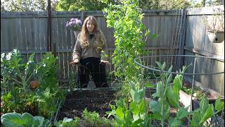What to plant in August - Subtropical Australia