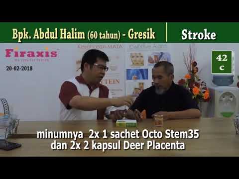 LUAR BIASA Sembuh Dari Stroke Obat Stroke Alami Paling Ampuh 0813 5716 7055 LUAR BIASA Sembuh Dari Stroke Obat Stroke Alami Paling Ampuh 0813 5716 7055