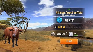 Hunting Clash : Animal Hunting, Spotted Hyena, African Forest  Buffalo screenshot 5