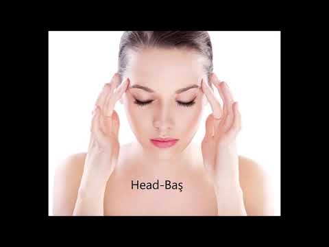 İNGİLİZCE ÖĞRENİYORUM - İnsan Vücudu // Human Body