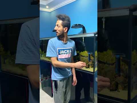 الترند التركي مع ايمن تيوبر 