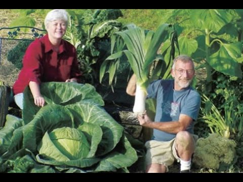 The Secrets of Growing Giant Vegetables