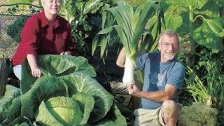 Celebrity The Secrets of Growing Giant Vegetables Net Worth