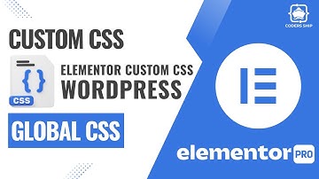 Add Custom CSS in Entire Website in WordPress Using Elementor in Urdu/Hindi | WordPress Tutorial