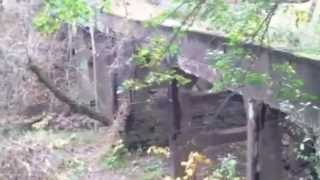 Newly Discovered Abandoned Town Road And Bridge Blairsville Pa Indiana County