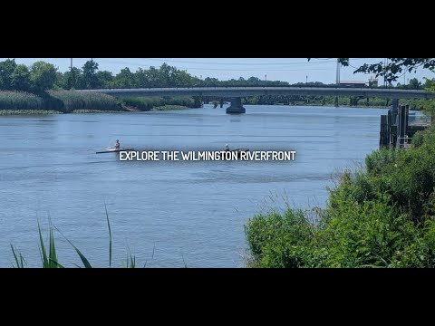 Wilmington Public Dock Cam live cam preview