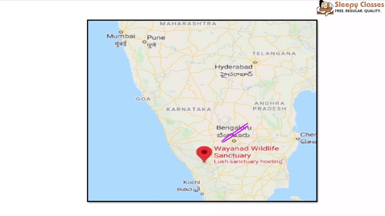 Wayanad Wildlife Sanctuary Map 2 - Minute Series - Environment - Wayanad Wildlife Sanctuary || Upsc || Ias  - Youtube