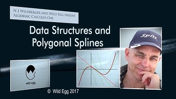 Data Structures and Polygonal Splines | Algebraic Calculus One | Wild Egg