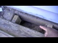 Why You Should Pay For Your Own Pest Inspection