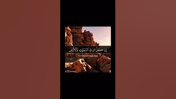 المنشاوي تلاوة خاشعة { وَمَا يَنبَغِي لِلرَّحْمَٰنِ أَن يَتَّخِذَ وَلَدًا }