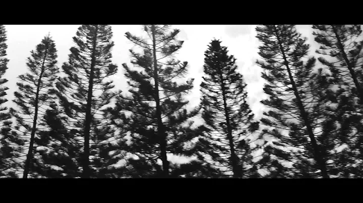 Brendan Monroe "Pacific Wave" Finale (black & white)