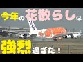 【成田空港】激烈!今年の”花散らし”!桜舞い散る春の成田で、歪みまくる猛烈な横風と戦う飛行機たちの姿を追った!