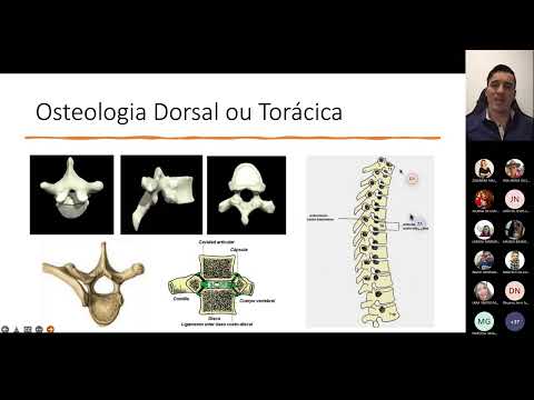 Coluna Vertebral Cuidados e Tratamento na Fisioterapia - Dia 03/05 às18h