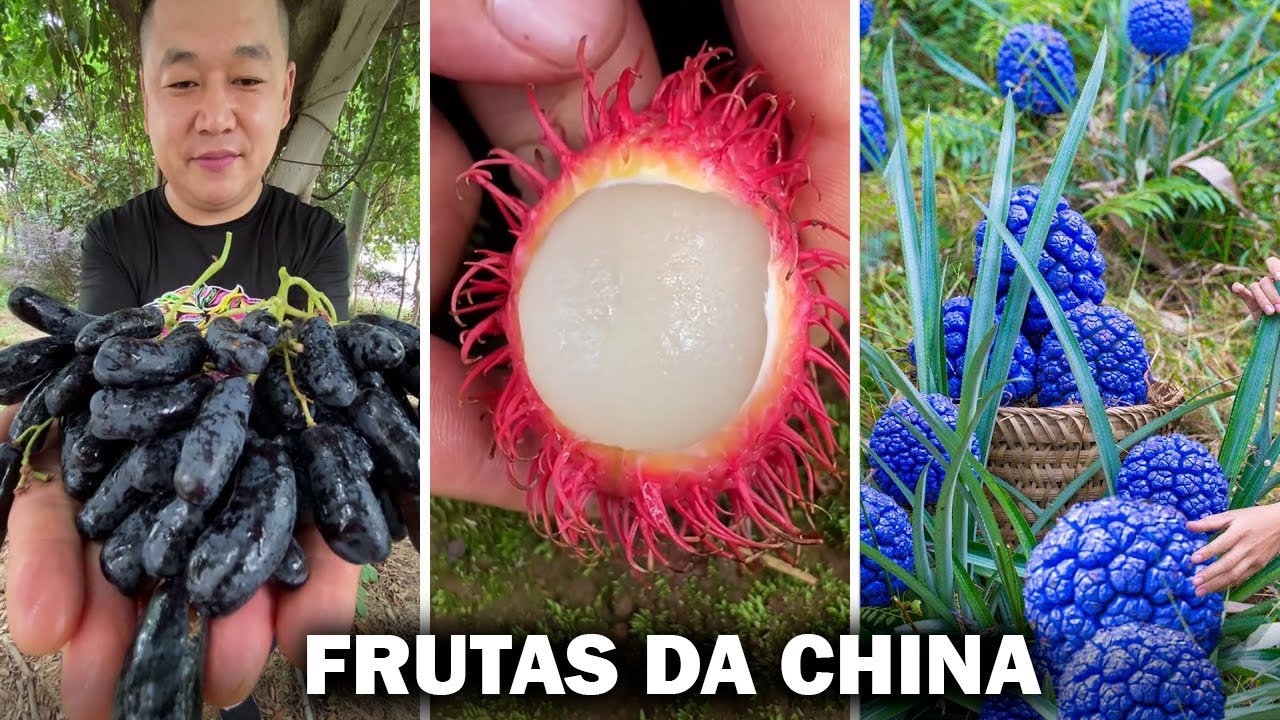 SABOROSAS FRUTAS DA CHINA QUE NÃO EXISTE EM OUTRO PAÍS