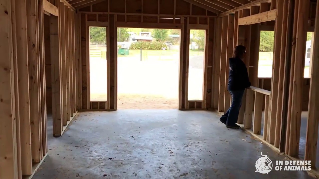 The Rebuilding of Hope Animal Sanctuary