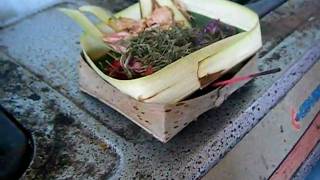 DSCF2501.AVI