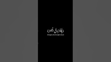 لأول مرة كروما شاشة سوداء للقرآن الكريم | للشيخ ماهر المعيقلي🎁