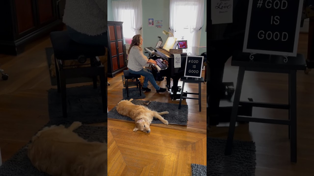 Watch Memory by Catherine Rollin #shorts #pianomusic #calm #relaxingmusic #piano #livemusic #pianocover on YouTube Watch Memory by Catherine Rollin #shorts #pianomusic #calm #relaxingmusic #piano #livemusic #pianocover on YouTube