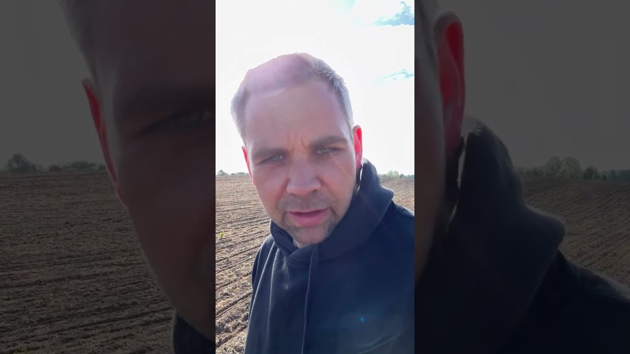 Warum 50cm Reihenabstand und nicht 75? 