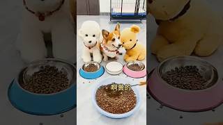 Angry Sigma Dog . Aayush