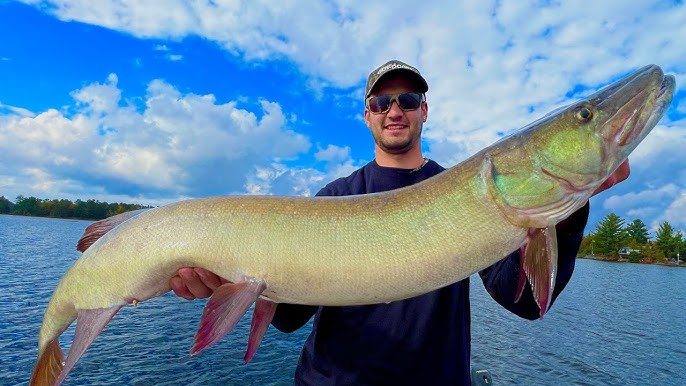 Mastering Kawartha Landing 3 Muskie in Ontario's Top Fishing Spot with a  Suick 